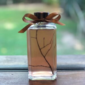 Difusor de Varetas – AROMA T 250ml