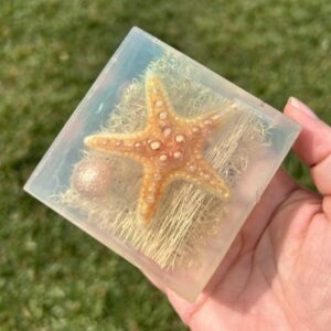 Barra do Mar com Bucha