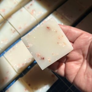 Barra Bons Fluidos – 20Unid