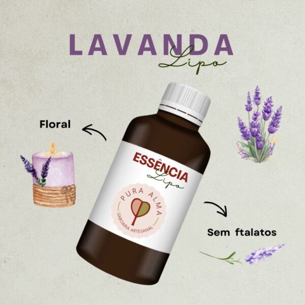 Essência Lavanda LIPO 100g
