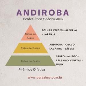 Essência Andiroba 100g