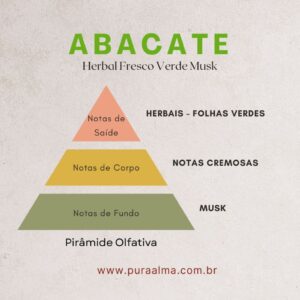 Essência Abacate 100g