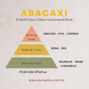 Essência Abacaxi 100g