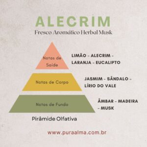Essência Alecrim 100g