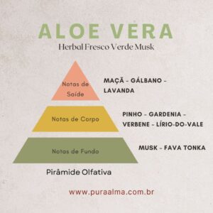 Essência Aloe Vera 100g