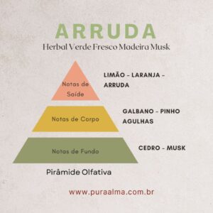 Essência Arruda 100g