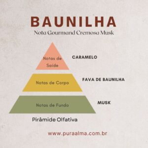 Essência Baunilha 100g