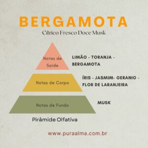 Essência Bergamota LIPO 100g