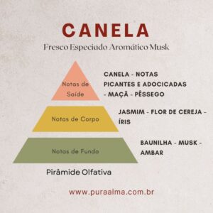 Essência Canela 100g