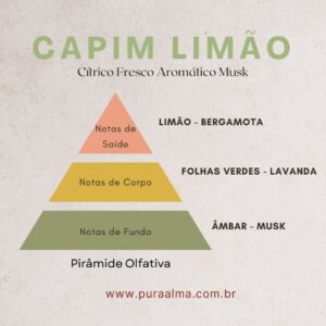Essência Capim Limão 100g