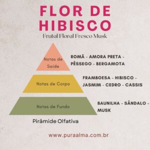 Essência Flor de Hibisco 100g