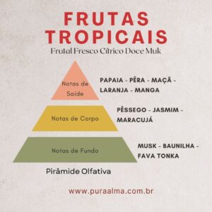 Essência Frutas Tropicais 100g