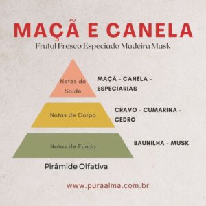 Essência Maçã e Canela 100g