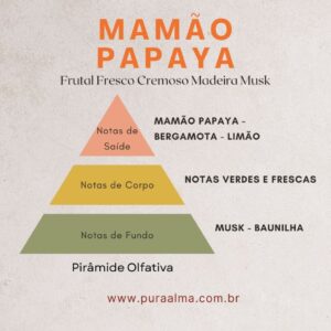Essência Mamão Papaya 100g
