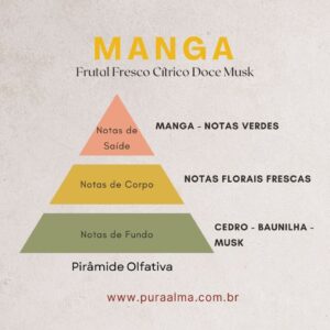 Essência Manga 100g