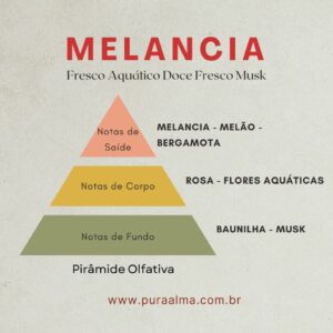 Essência Melancia LIPO 100g