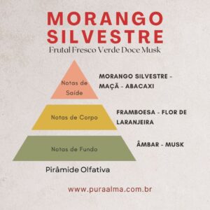 Essência Morango Silvestre 100g
