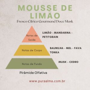 Essência Mousse de Limão 100g