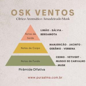 Essência Osk Ventos 100g