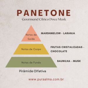 Essência Panetone Natalino 100g