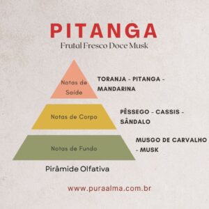 Essência Pitanga 100g