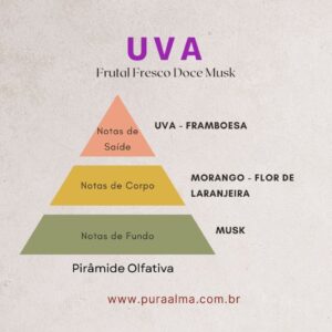 Essência Uva 100g
