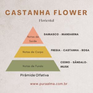 Essência Castanhas Flowers 100g