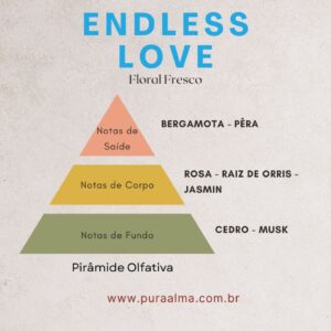 Essência Endless Love 100g