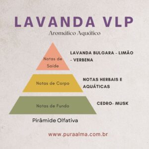 Essência Lavanda VLP 100g